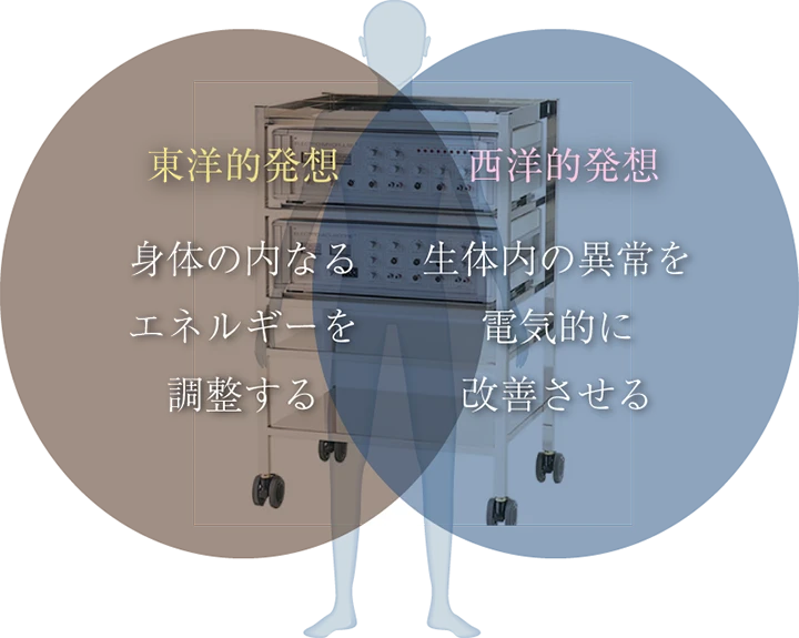 東洋的発想と西洋的発想の融合